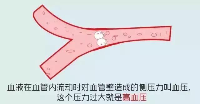 微信图片_20190521081623.jpg