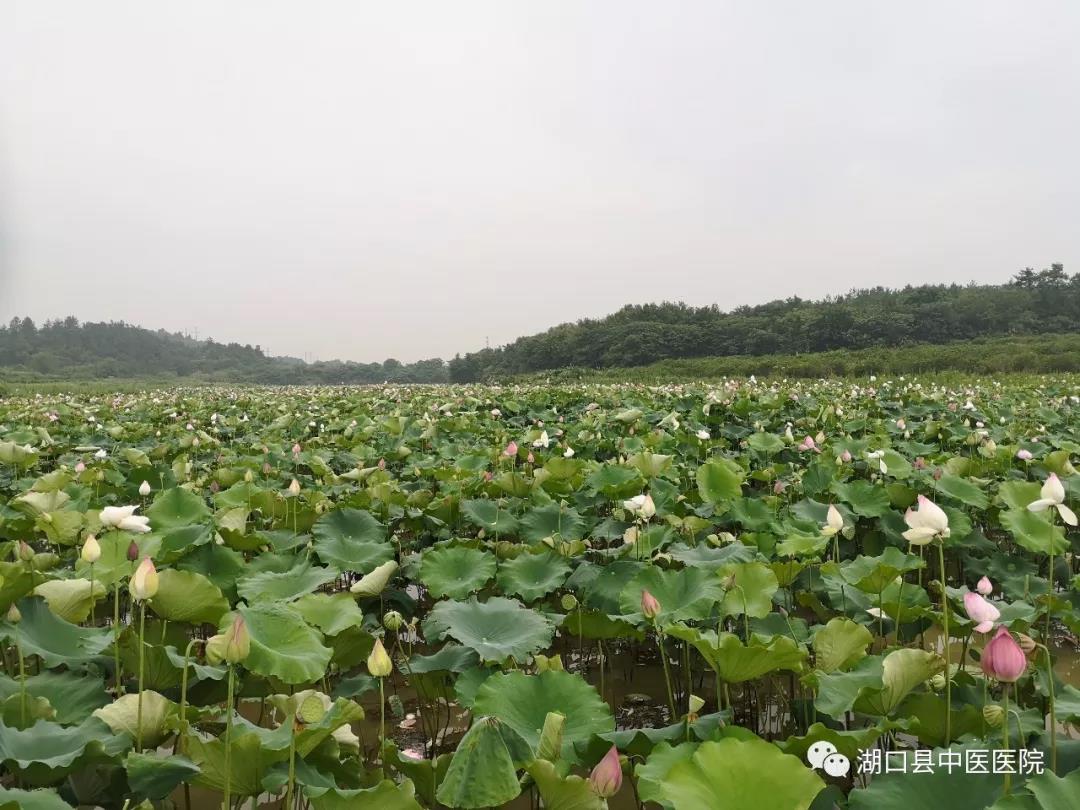 微信图片_20190701083010.jpg