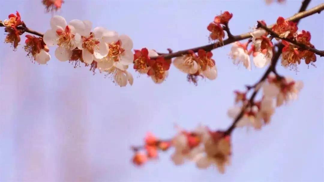 1583286248925144.jpg 微信图片_20200304094529.jpg