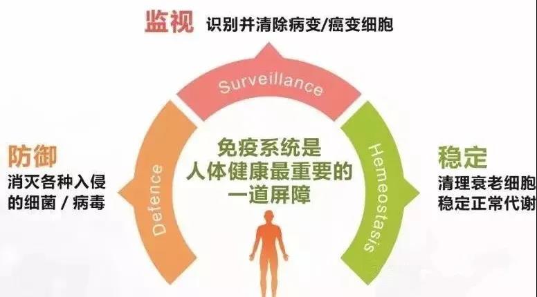 微信图片_20200523082409.jpg
