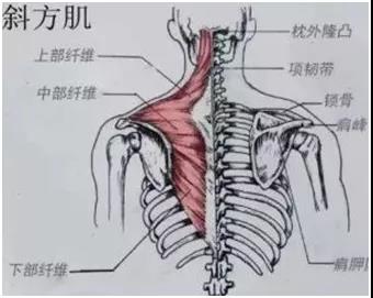 微信图片_20200904084547.jpg