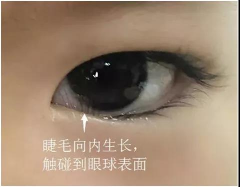 微信图片_20201109080102.jpg