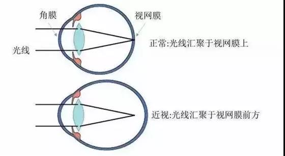 微信图片_20211130154545.jpg