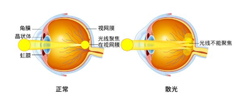 微信图片_20211231084006.png