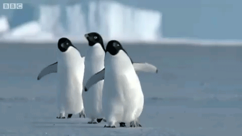 微信图片_20220217112620.gif