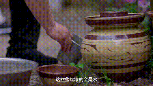 微信图片_20250801092803.gif